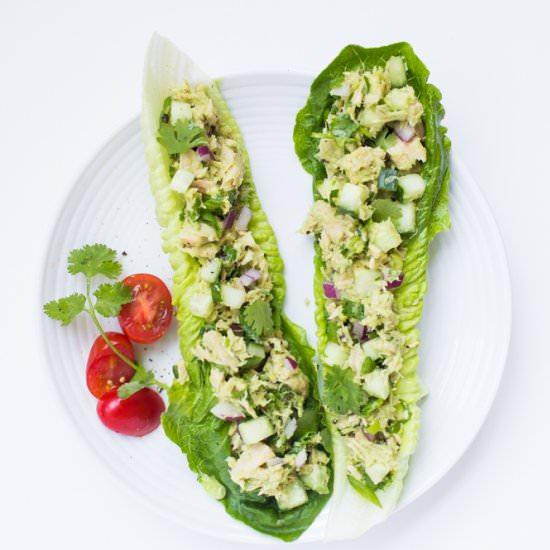 Healthy Avocado Tuna Salad