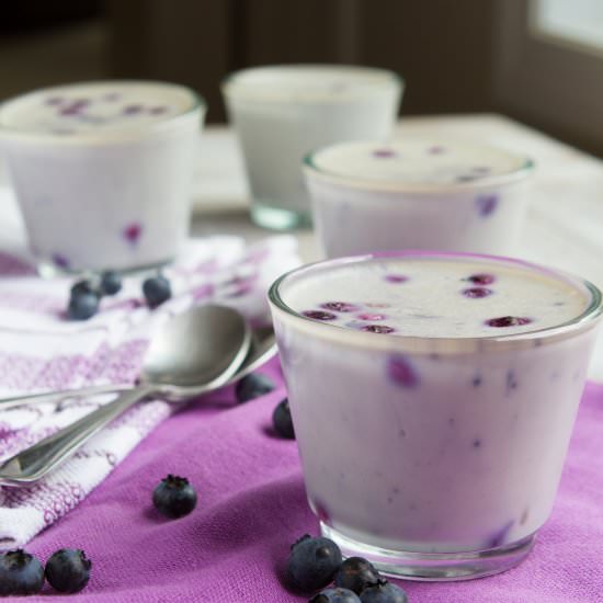 White Chocolate Panna Cotta