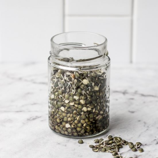 Homemade Sprouts