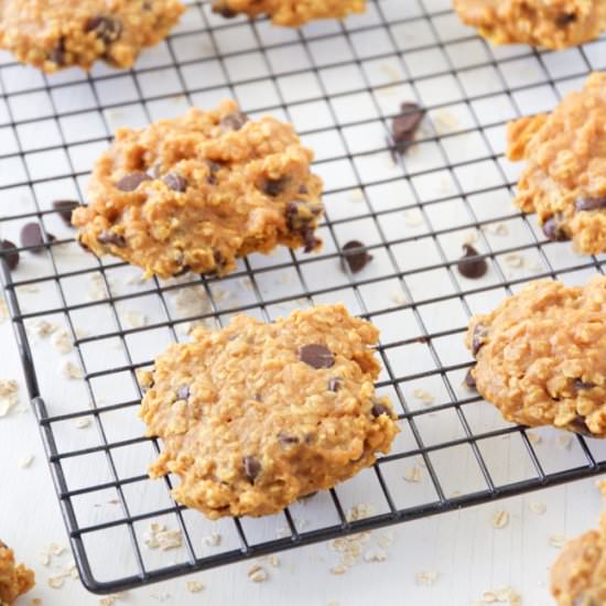 Pumpkin Oatmeal Chocolate Cookies