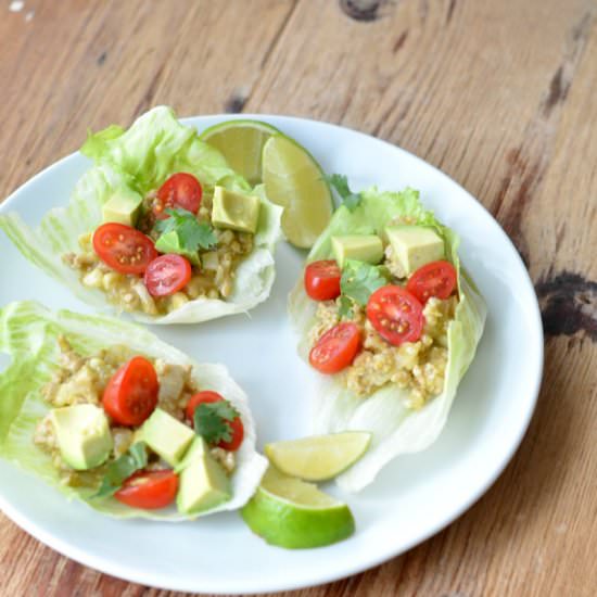 Salsa Verde Chicken Lettuce Wraps