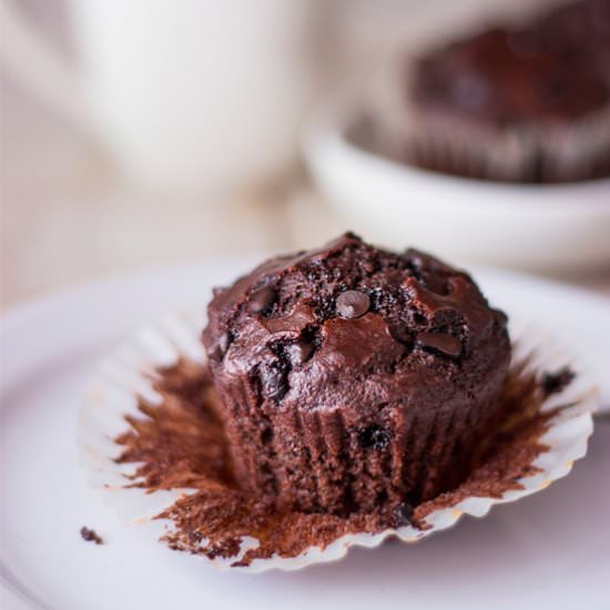 Double Chocolate Muffins