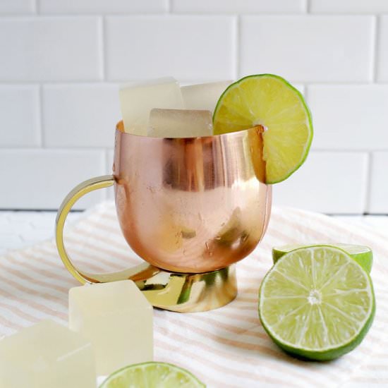 Moscow Mule Jello Shots