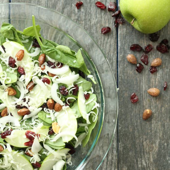 Spinach Apple-Cranberry Salad