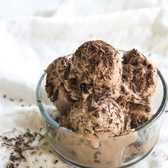 Double Chocolate Frozen Yogurt
