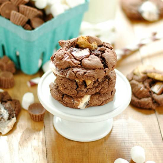 Reese’s S’mores Chocolate Cookies