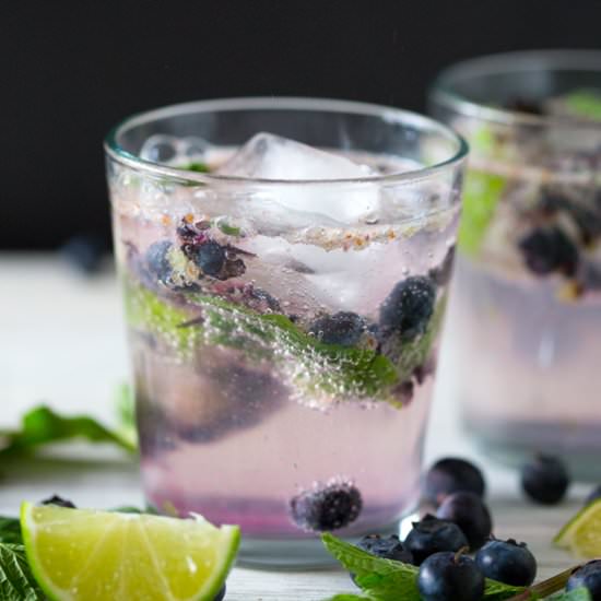 Blueberry Mojito