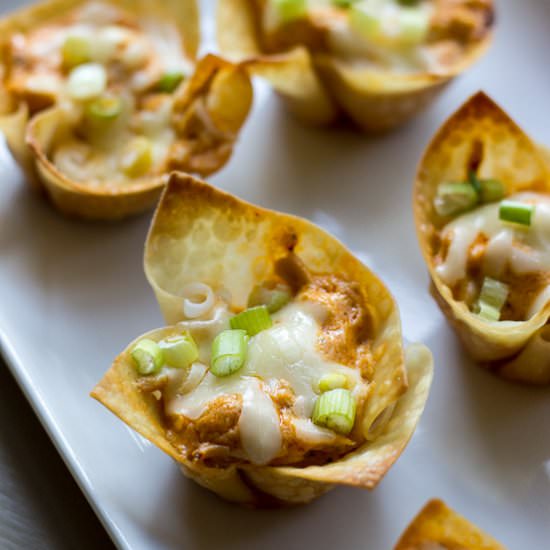 Buffalo Chicken Wonton Cups