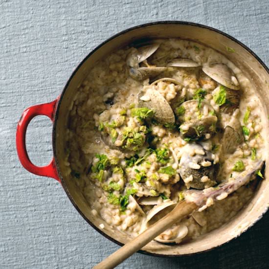 Clam chowder risotto