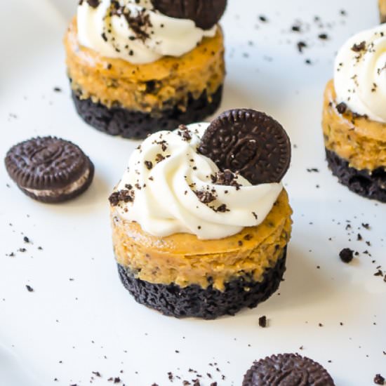 Cookies & Cream Pumpkin Cheesecake