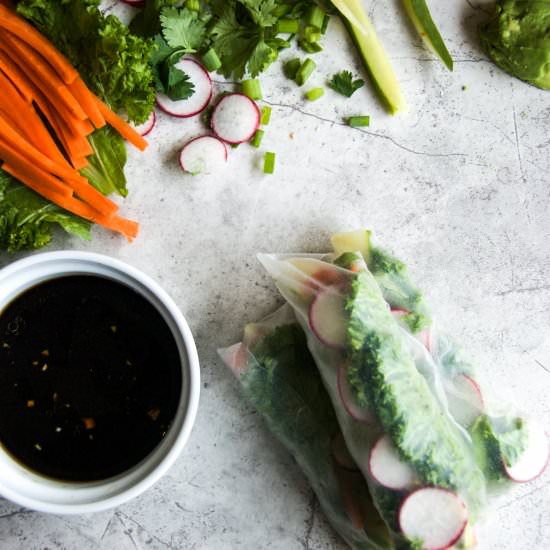 Fresh Veggie Spring Rolls + Sauce
