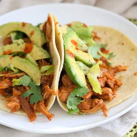 Spicy chipotle Garlic Jackfrui Taco