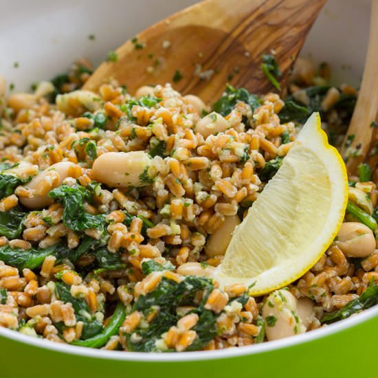 Parsley Pesto Farro Bean Salad