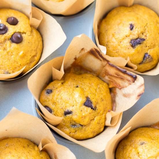 Pumpkin Chocolate Chip Muffins