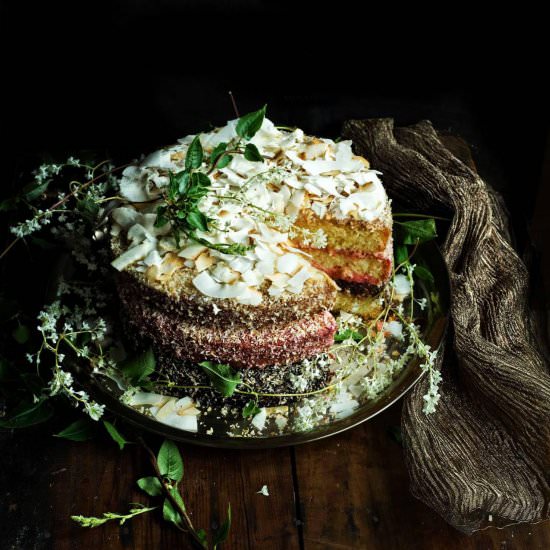 Tri-Colored Lamington Cake