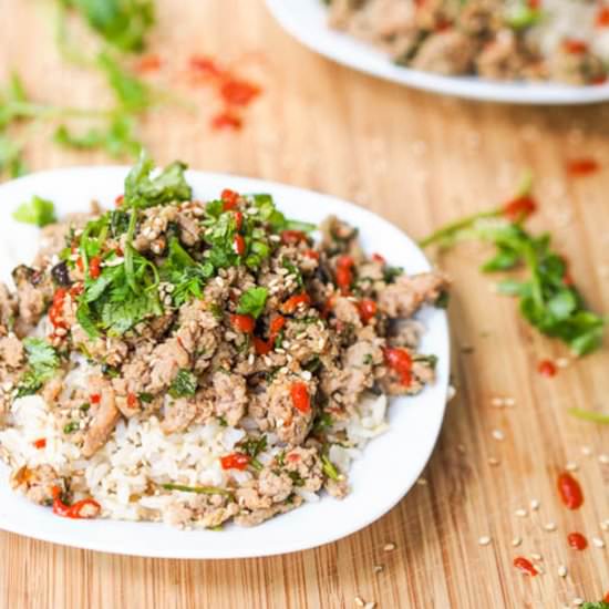 20 Minute Turkey Stir Fry