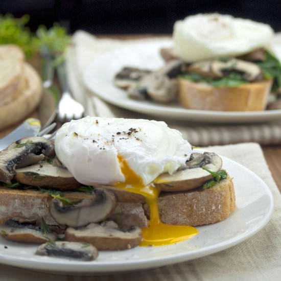Mushrooms on Toast