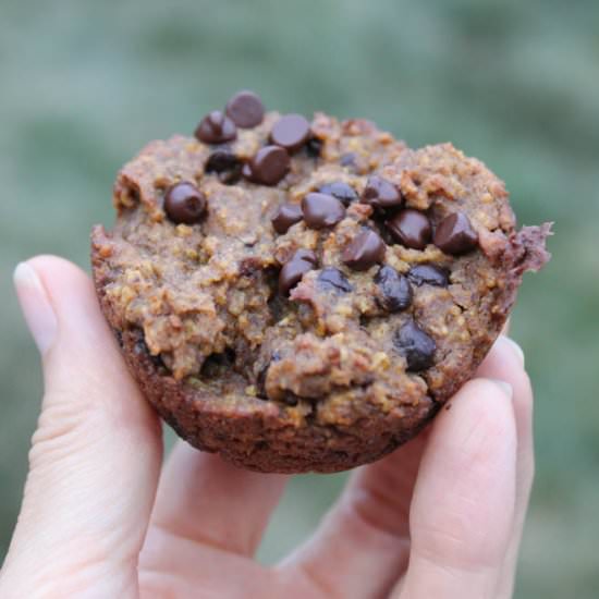 Pumpkin Protein Muffins