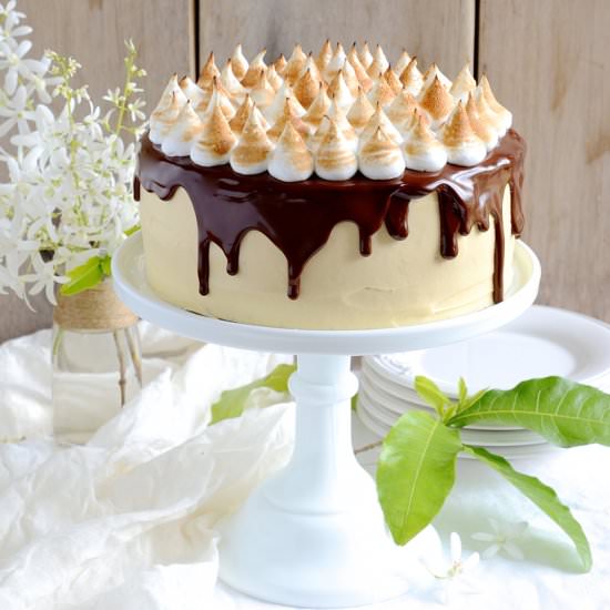S’mores chocolate cake