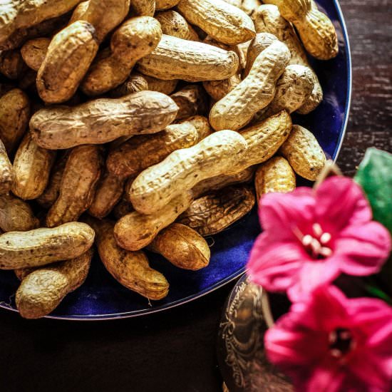 Street Style Boiled Peanuts