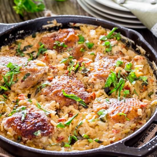 Creamy Chicken, Orzo and Sun Dried Tomato