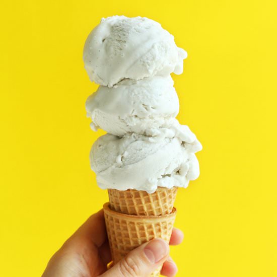 Vanilla Bean Coconut Ice Cream