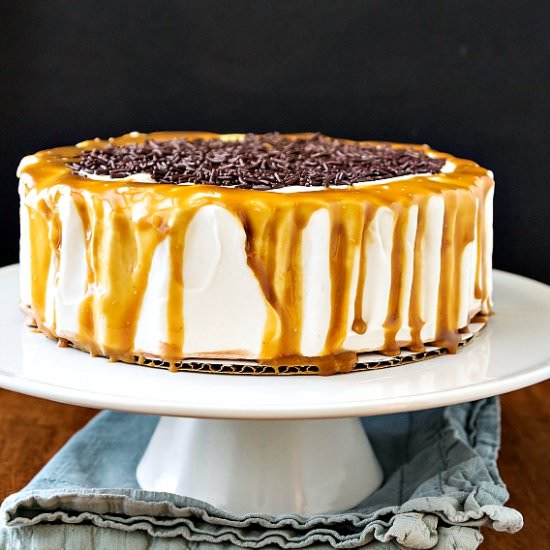 Party Ice Cream Cake