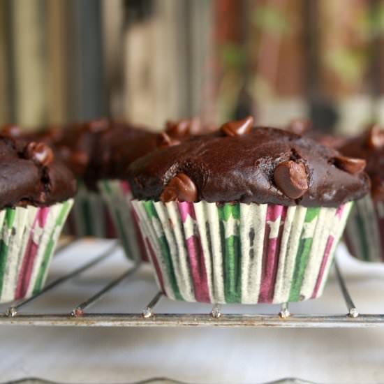 Jumbo Double Chocolate Muffins