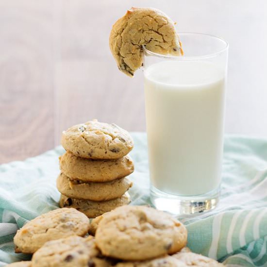Chocolate Chip Cheesecake Cookies