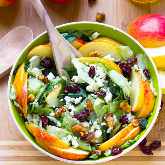 Apple Walnuts and Blue Cheese Salad