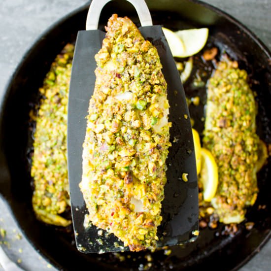 Pesto Pistachio Fish Fillet