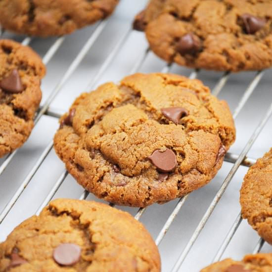 Peanut Butter Chip Cookies