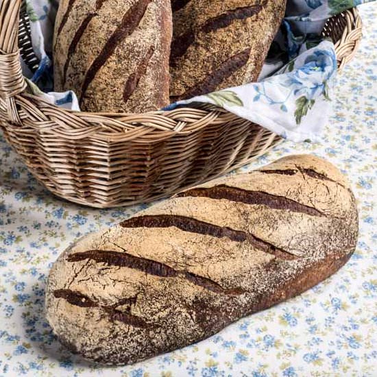 Whole Wheat Bread