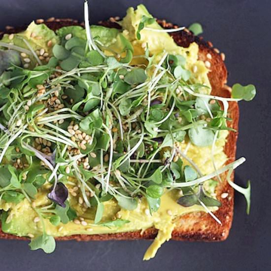 Avocado toasts with micro greens