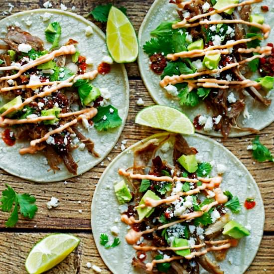 Carnita Tacos