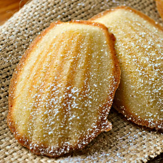 Madeleines