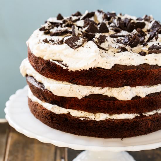 Mississippi Mudslide Cake