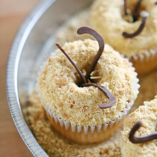 Star Wars Sarlacc Cupcakes