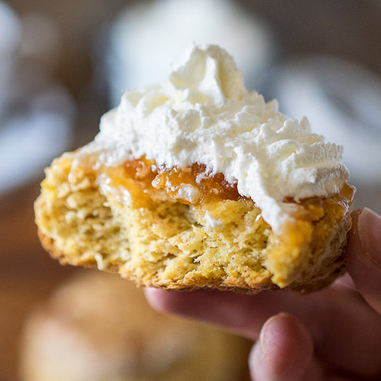 Pumpkin scones