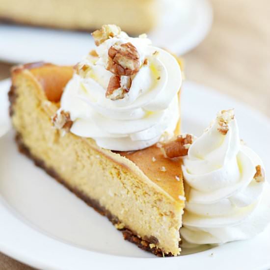 Pumpkin Cheesecake