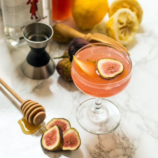 Fig Bees Knees