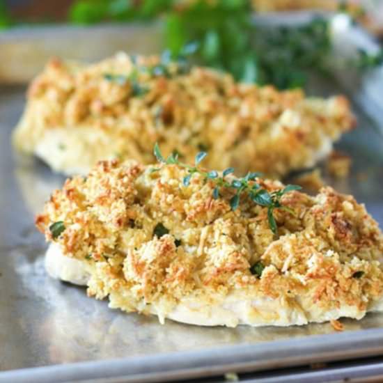 Baked Parm Dijon Crusted Chicken