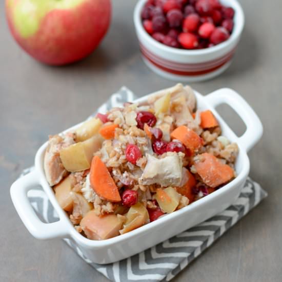 Slow Cooker Apple Cranberry Chicken