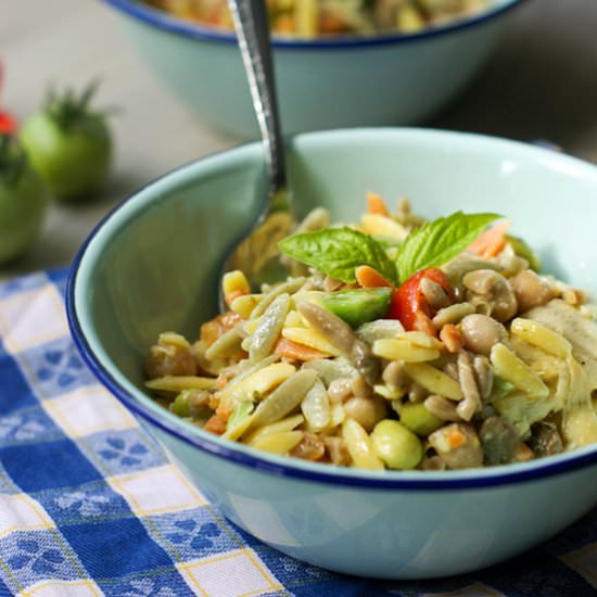 Rainbow Orzo Salad
