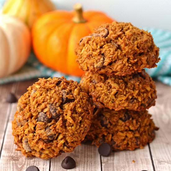 Pumpkin Chocolate Chip Oatmeal Cookie