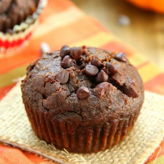 Chocolate Pumpkin Muffins