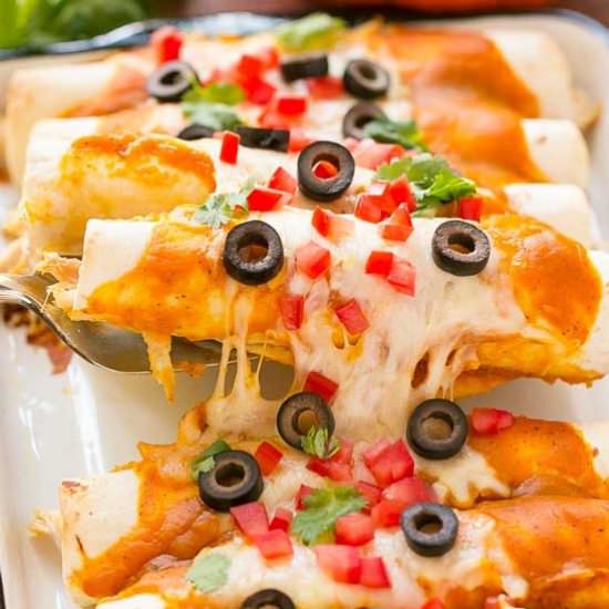 Chicken Enchiladas & Pumpkin Sauce