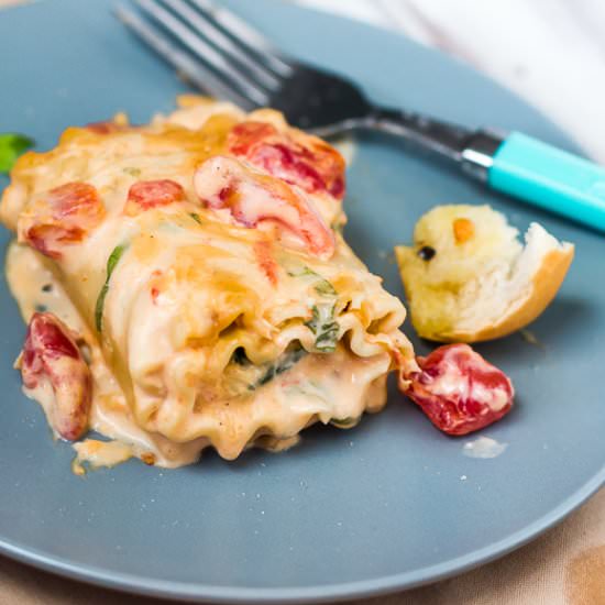 Chicken Alfredo Lasagna Rolls