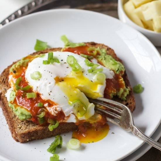 Ricotta, Avocado, Harissa Toast