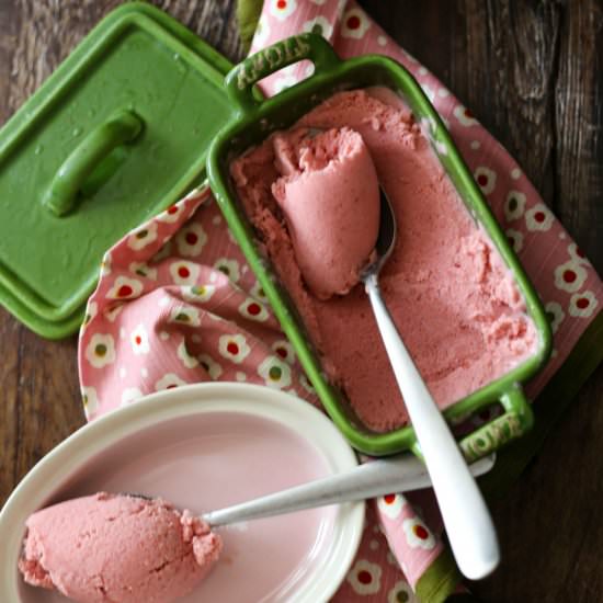 Roasted Plums Frozen Yogurt